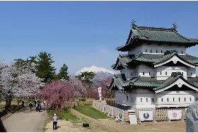 地域密着で安心・安全の実績
