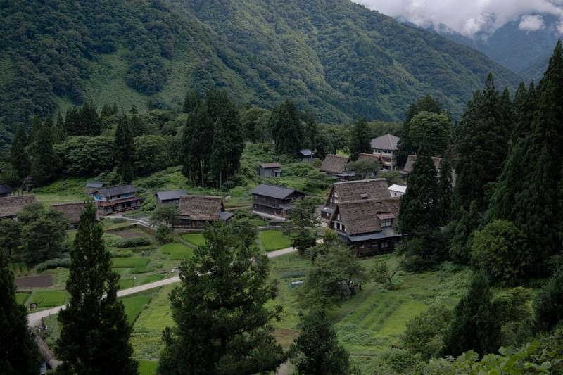 清掃・ごみ拾いで地域に貢献